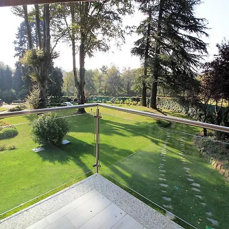 Alpino Immerso Nel Bosco 山林小屋 Gignese
